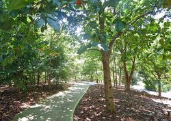 Capitol Park (D11), Detached #614627451